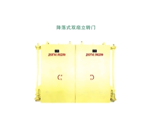重庆降落式双扇立转门