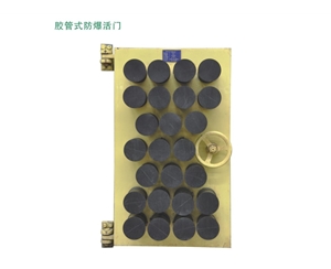 重庆胶管式防爆活门